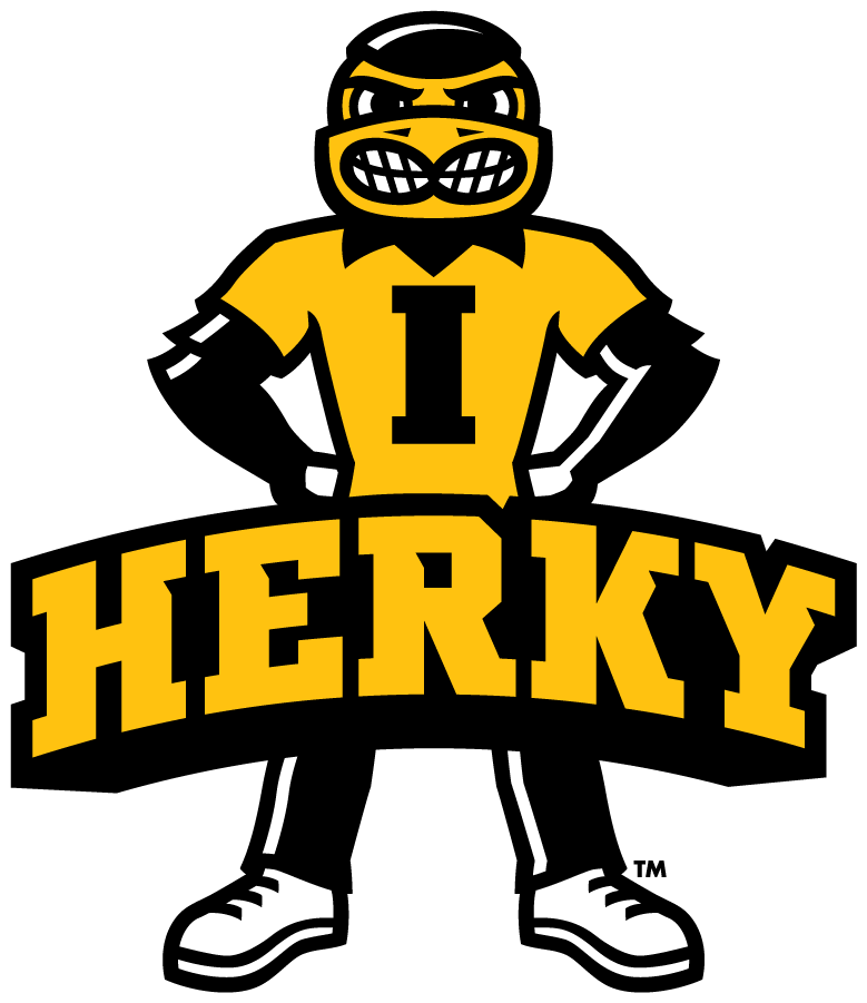 Iowa Hawkeyes 2013-Pres Mascot Logo t shirts iron on transfers